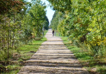 Cyclist on trail approaching from distance