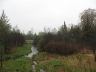 Marshy creek near Ariss